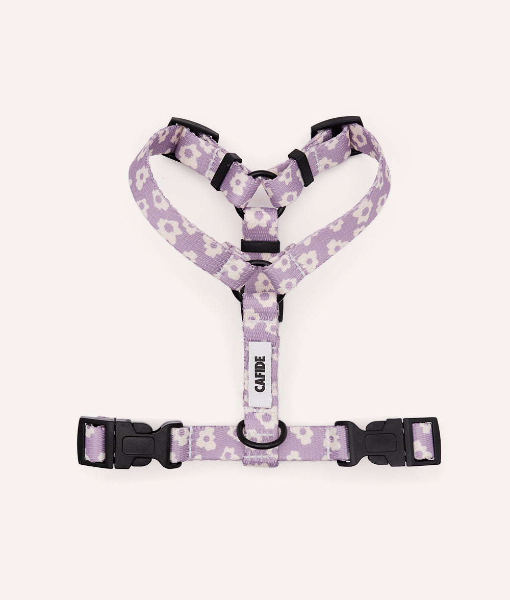 Arnés PET Reciclado Diseño Violeta, Juno